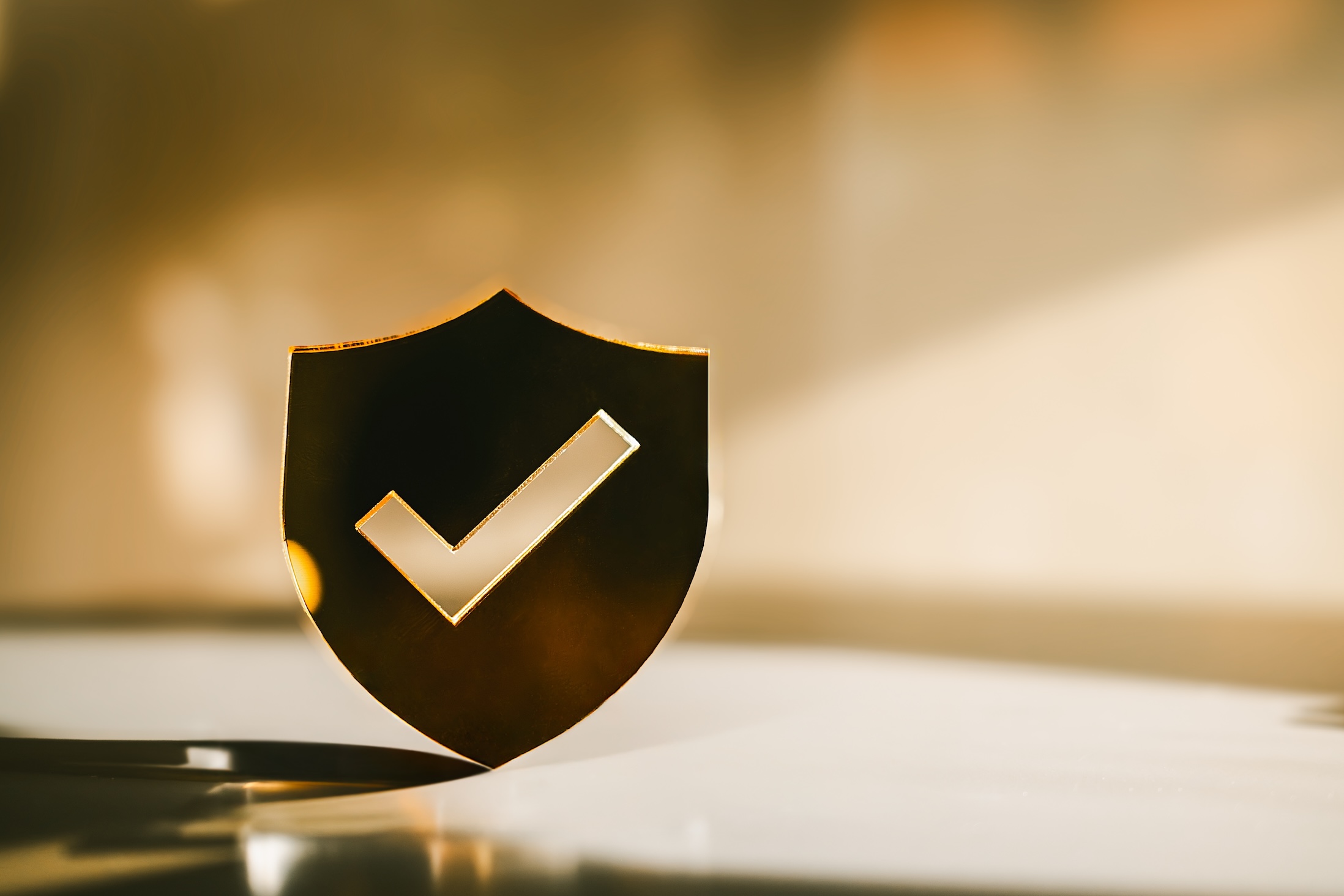shield icon with a check mark