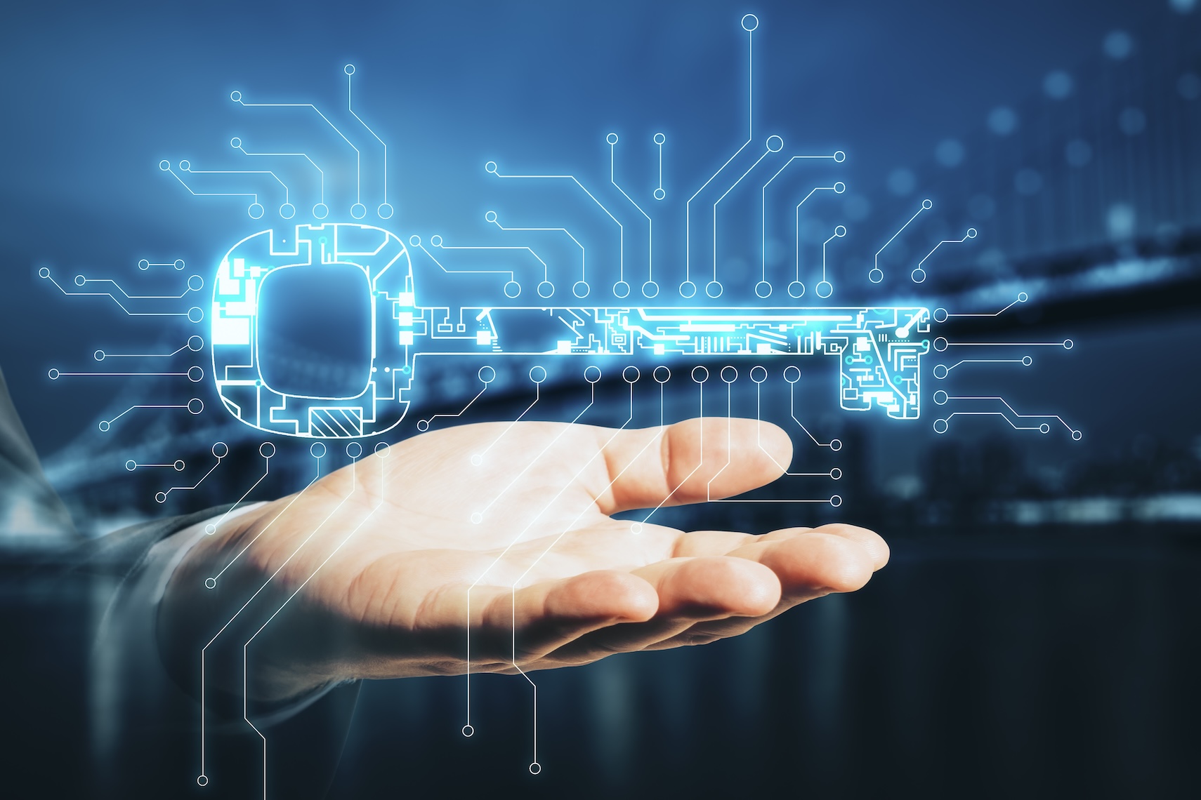 hand holding digital key