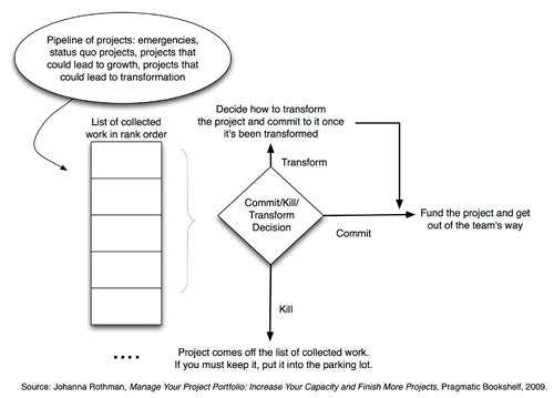 Project portfolio decisions