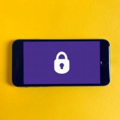 Wrangling API Security Amid Rapid Growth