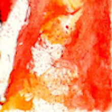 Profile picture for user beyondchecks