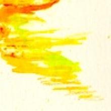 Profile picture for user ruchman