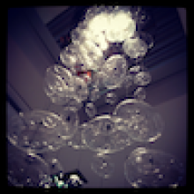 Profile picture for user putnamct