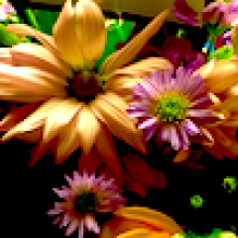 Profile picture for user munishbhalla