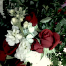Profile picture for user Tim