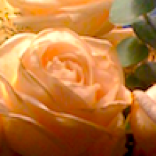 Profile picture for user jorge_cis