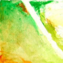 Profile picture for user anwesha