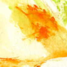 Profile picture for user ChampionEveryday
