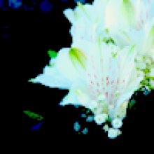 Profile picture for user hanny12