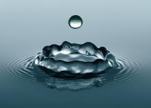 Profile picture for user Lori88888