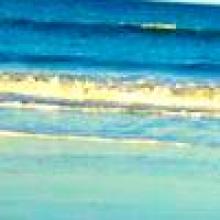 Profile picture for user alanrichardson