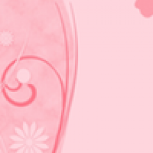 Profile picture for user laurasalazar