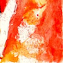 Profile picture for user vganti