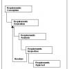 The Requirements Definition Process