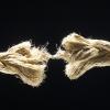 Rope fraying