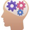Test exercises