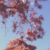 Beverly Benson's picture