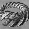 Philip Rothbauer's picture Philip Rothbauer's picture