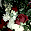 Ashraf Ahmad's picture