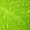 Sourabh Chowdhury's picture Sourabh Chowdhury's picture