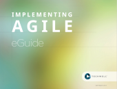 Implementing Agile eGuide