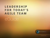 Leadership for Today's Agile Team eGuide